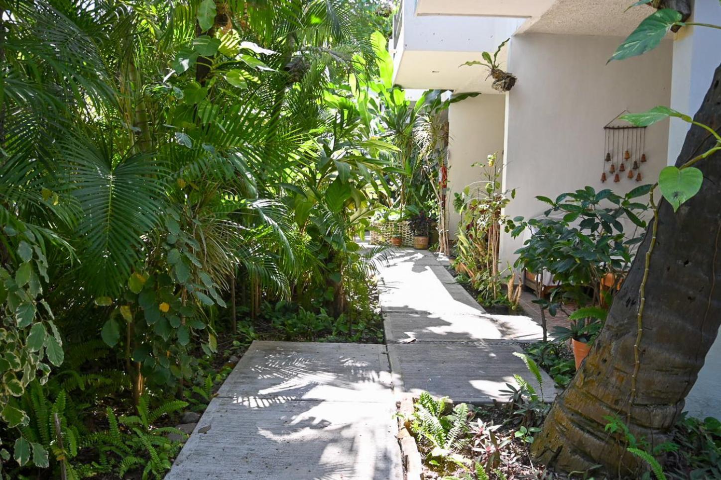 Hotel Palmeras Bucerías Екстериор снимка
