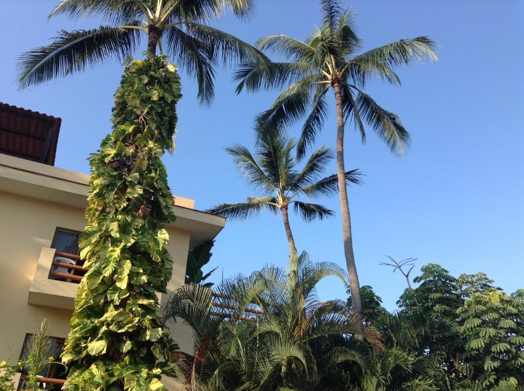 Hotel Palmeras Bucerías Екстериор снимка